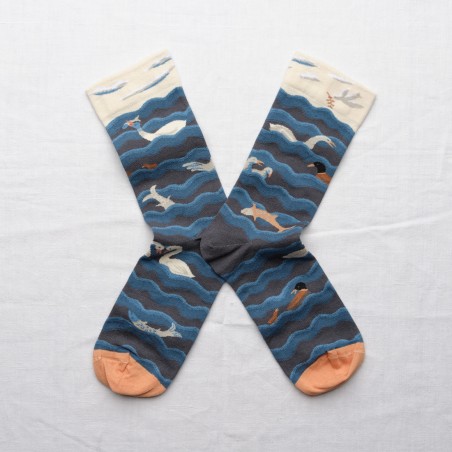 Sock Noah Multico